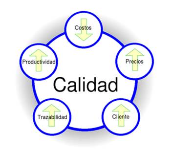 Third slide